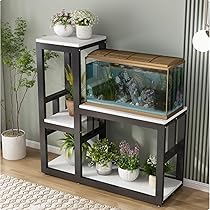 71ddIEd3j+L._AC_UL210_SR210,